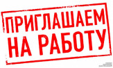 Администратор (без опыта)